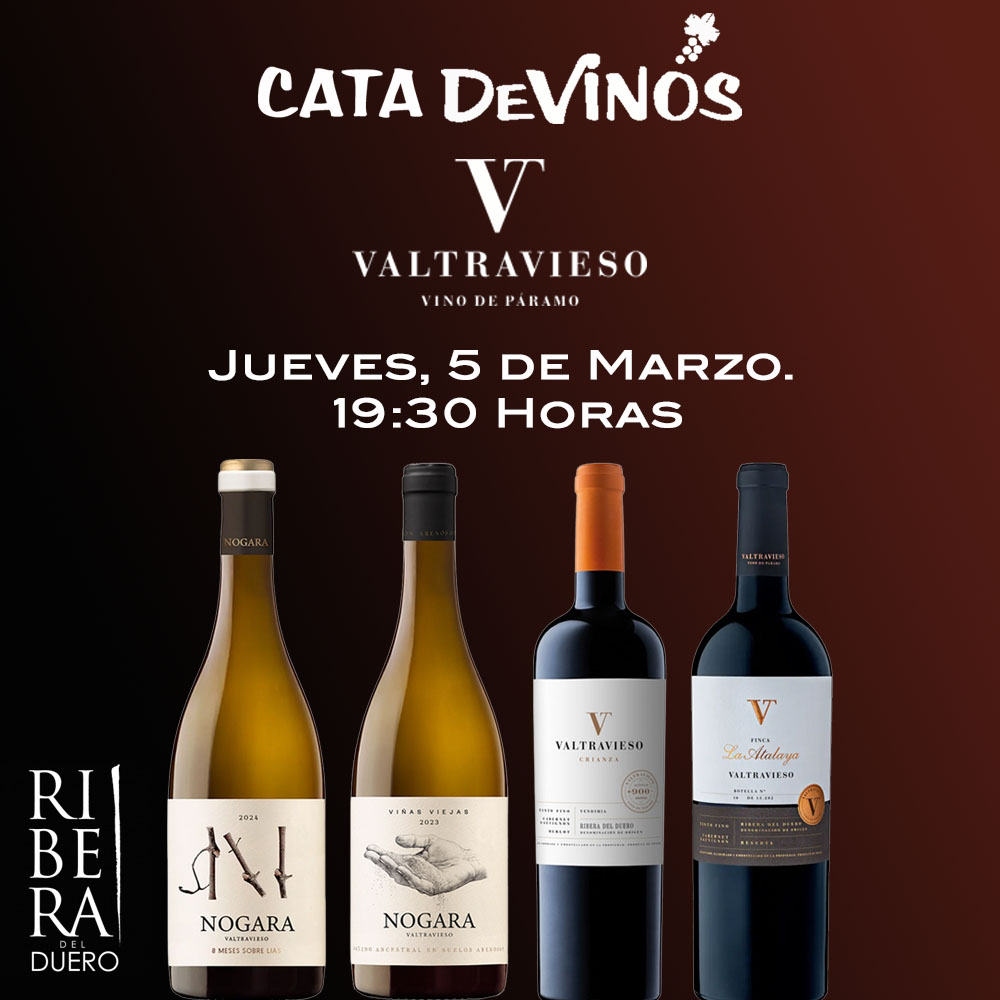 CATA BODEGA VALTRAVIESO. RIBERA DEL DUERO